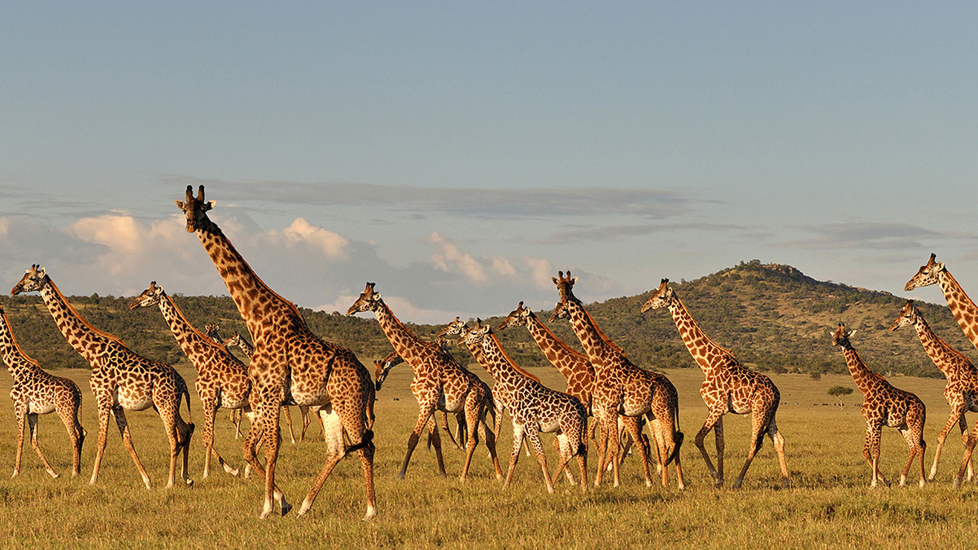 3-Day Taste of Tanzania Safari (Tarangire & Ngorongoro)