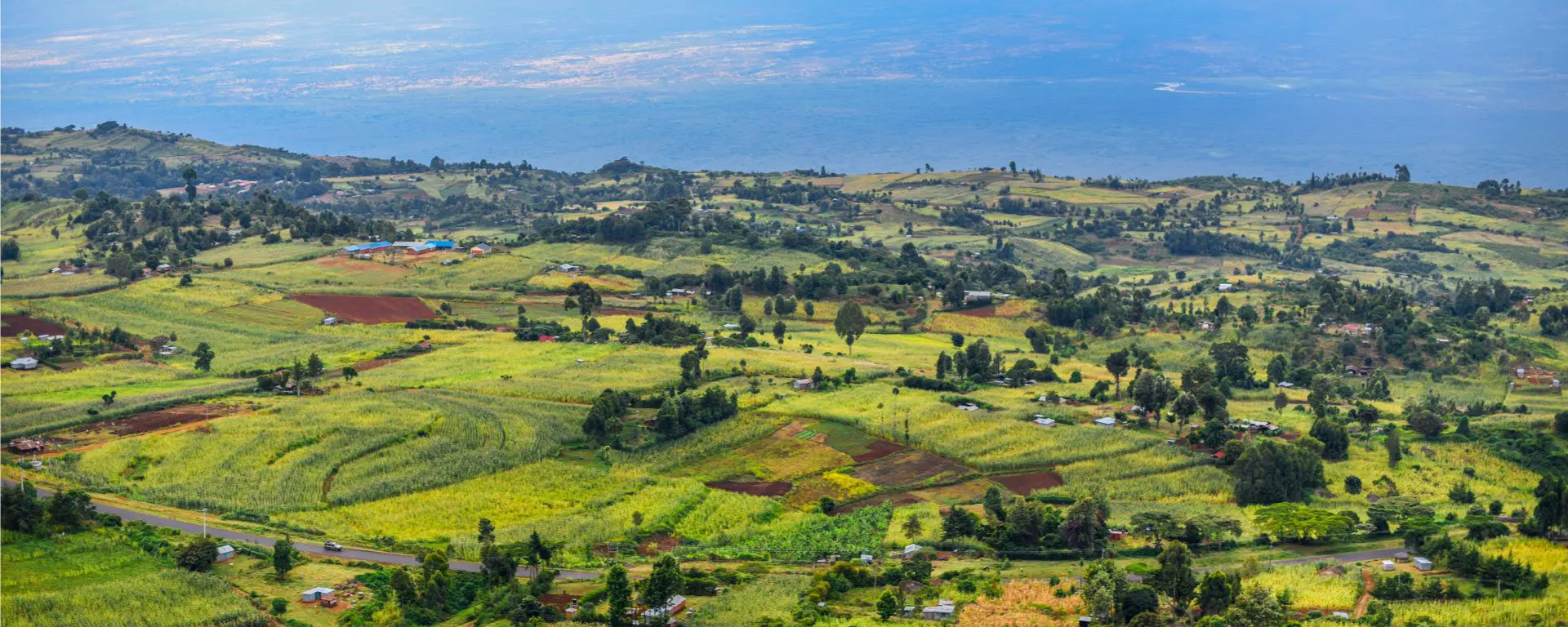 The Great Rift Expeditions